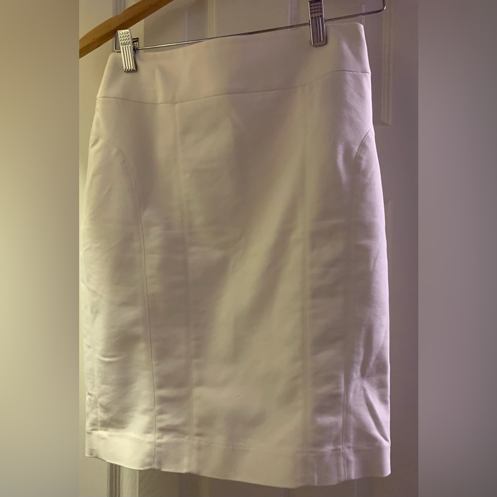 Skirt Express - Picture 2 of 5